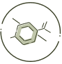 paraben free