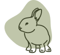 Cruelty-Free